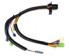 4T65E Internal Transmission Wire Harness (1997-UP)