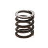 This is a new aftermarket replacement pump pivot pin spring for GM Turbo 200-4R, 700R4, 4L60E, 5L40E and 5L50E automatic transmission from 1981 to 2014.