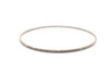 Precision 33375 10L60 Pump Stator Teflon Sealing Ring - view 2