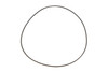 Precision 33844 10L60 10L80 10L90 10R80 10L1000 Pump D-Ring