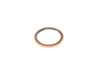 Precision 33790 10L1000 PTO Piston & Retainer Inner D-Ring
