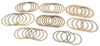 AB60E AB60F GPZ Friction Clutch Plate Module | Raybestos
