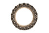 36976 C6 Reverse Clutch Piston Return Spring Cage (1976-1997) - view 6