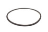 8L45 4-5-6-7-8 Balancer D-Ring | 24250211