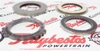 Raybestos RCP96-173 4T65E High Energy Friction Module (2003-2013) - view 3