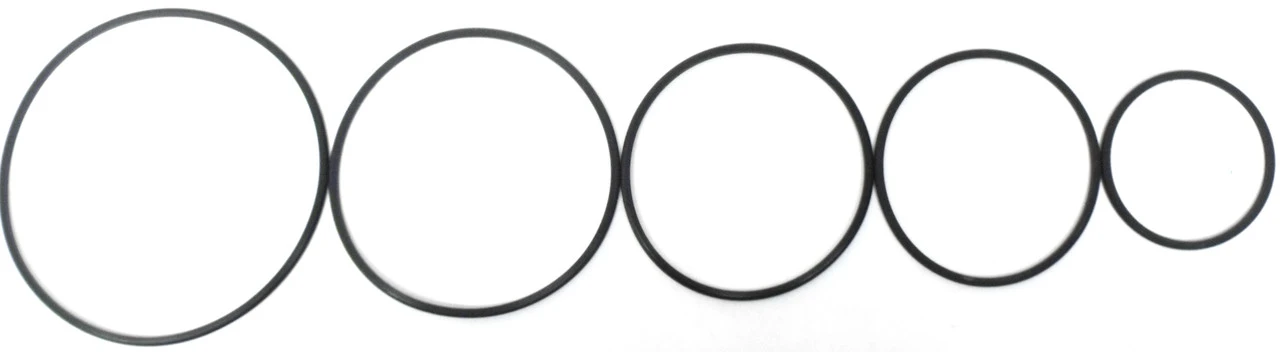 Precision K33900-4 700R4 4L60E 2-4 Servo Vinton D-Ring Sealing Kit (1982-UP)