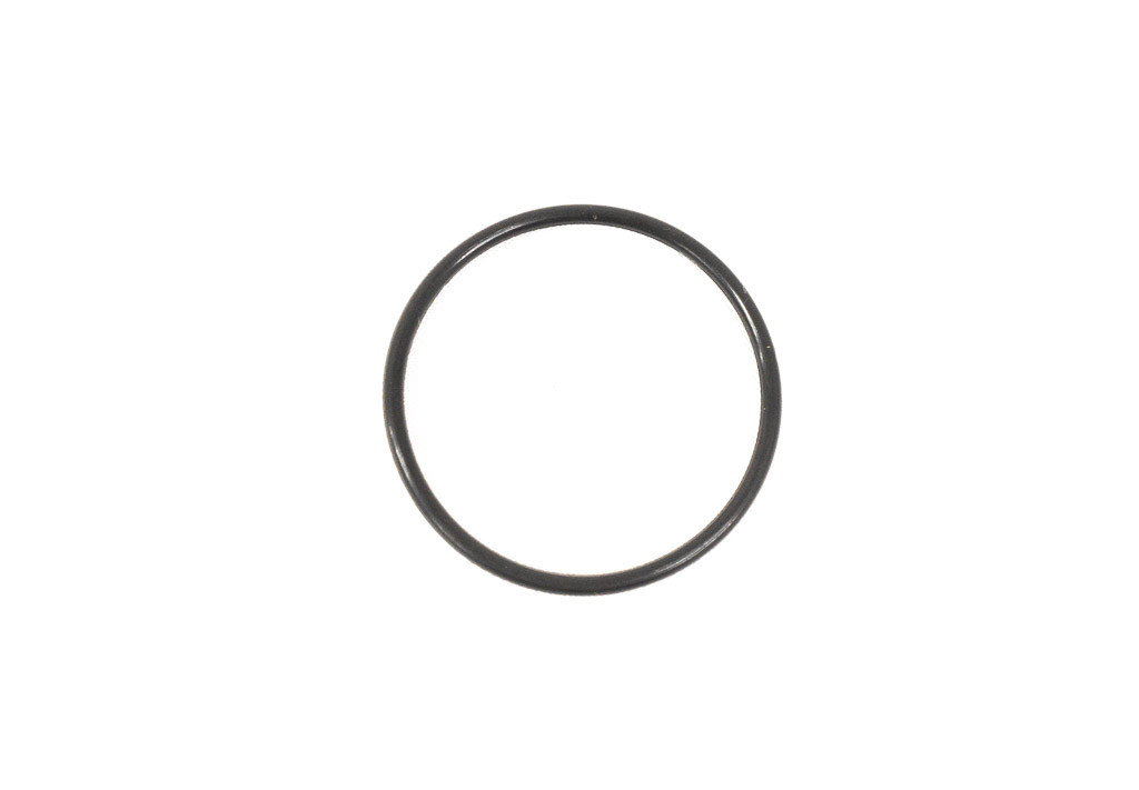 Precision 77675 6L80 6L90 10L60 10L80 10L90 10R80 Parking Pawl Guide O-Ring