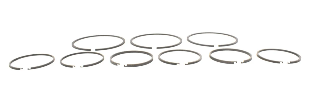 26175CT C4 C5 Sealing Ring Kit (1970-1981) - view 4