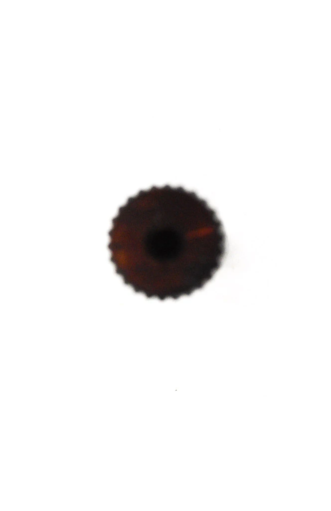 TCS 549700A C4 Billet Steel 300 Maraging Input Shaft - view 3