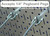 metal peg hooks for garden tools