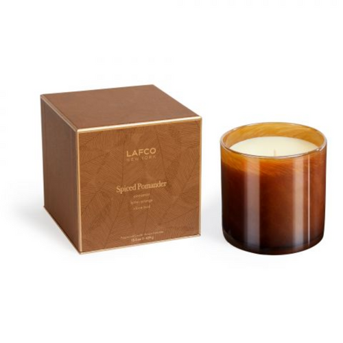 Spiced Pomander Candle 15.5oz