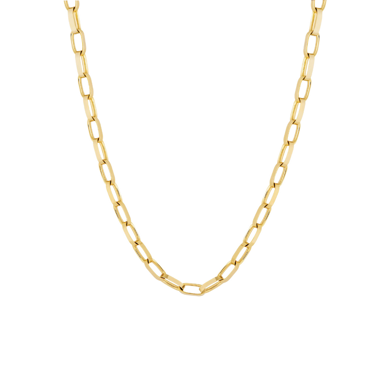 18" Blake Heavy Chain in 14k Yellow Gold