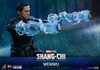 Hot Toys 1/6 Wenwu Action Figure MMS613 5