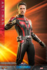 Hot Toys 1/6 Ant-Man Action Figure MMS690 2