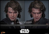 Hot Toys 1/6 MMS839 Anakin Skywalker Star Wars Revenge of the Sith Mustafar Action Figure 6