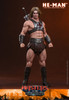 Hot Toys 1/6 Masters of the Universe He-Man Action Figure MMS888 915718 4