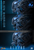 Hot Toys 1/6 MMS899 Alien Warrior Deluxe Figure 9157852 7