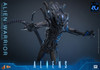 Hot Toys 1/6 MMS899 Alien Warrior Figure 915785 5
