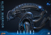 Hot Toys 1/6 MMS899 Alien Warrior Figure 915785 1