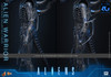 Hot Toys 1/6 MMS899 Alien Warrior Figure 915785 8