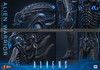 Hot Toys 1/6 MMS899 Alien Warrior Figure 915785 7