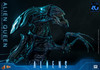 Hot Toys Alien Queen Sixth Scale Action Figure MMS903 915784 7