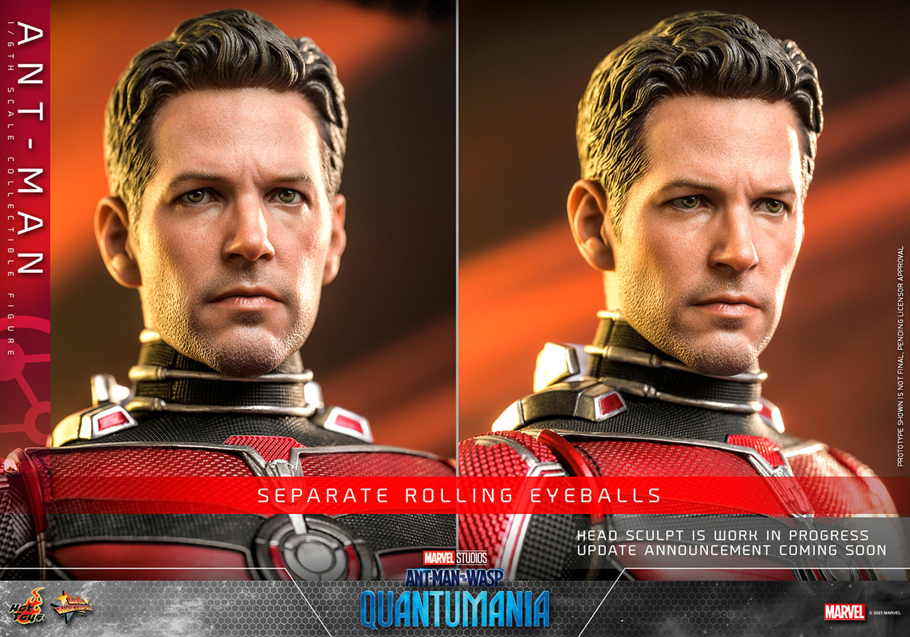 HOT TOYS 1/6 MARVEL ANT-MAN MMS308 ANT-MAN SCOTT LANG MOVIE ACTION