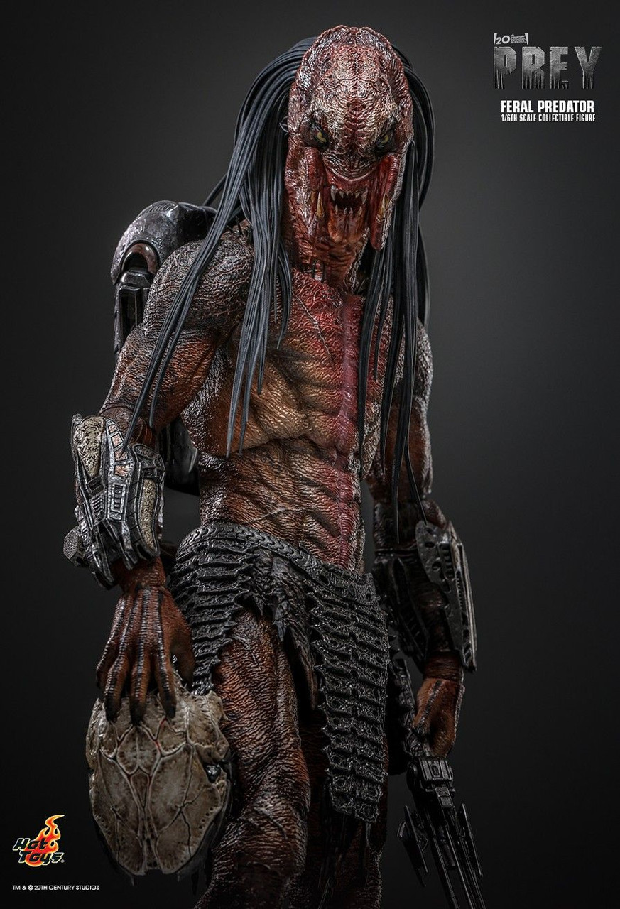 Hot Toys 1/6 TMS114 Feral Predator Action Figure Hulu Prey 3