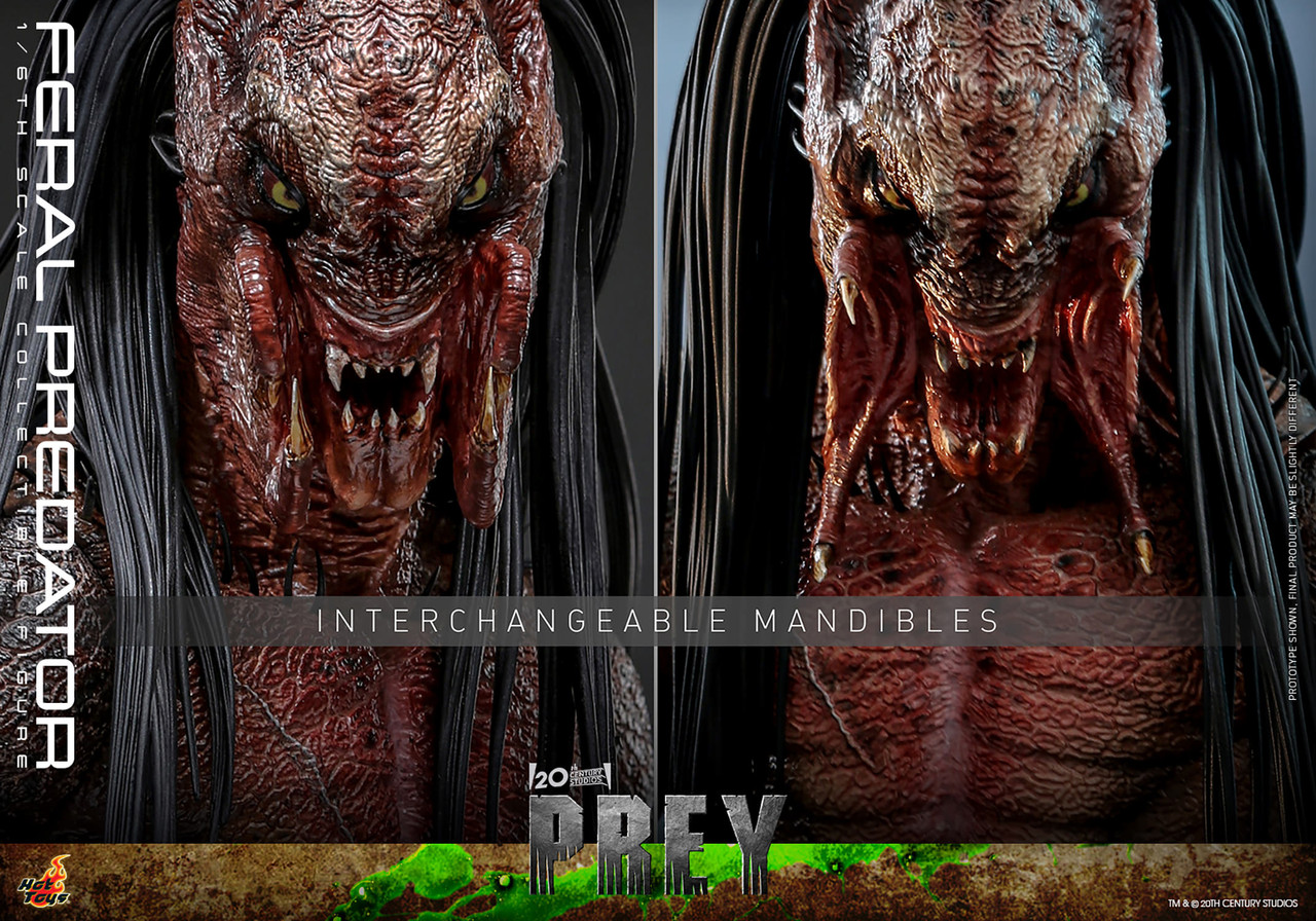 Hot Toys 1/6 TMS114 Feral Predator Action Figure Hulu Prey 5