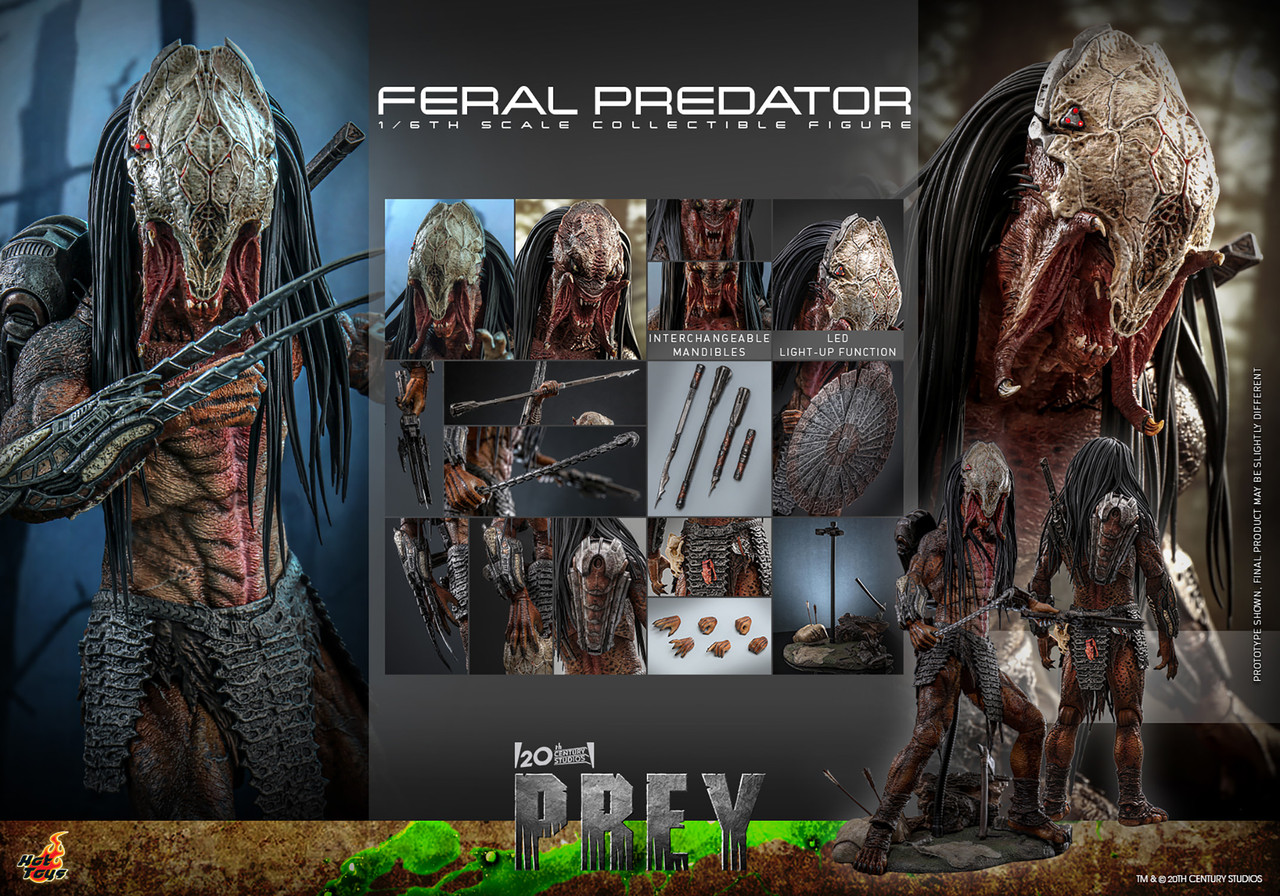 Hot Toys 1/6 TMS114 Feral Predator Action Figure Hulu Prey 8
