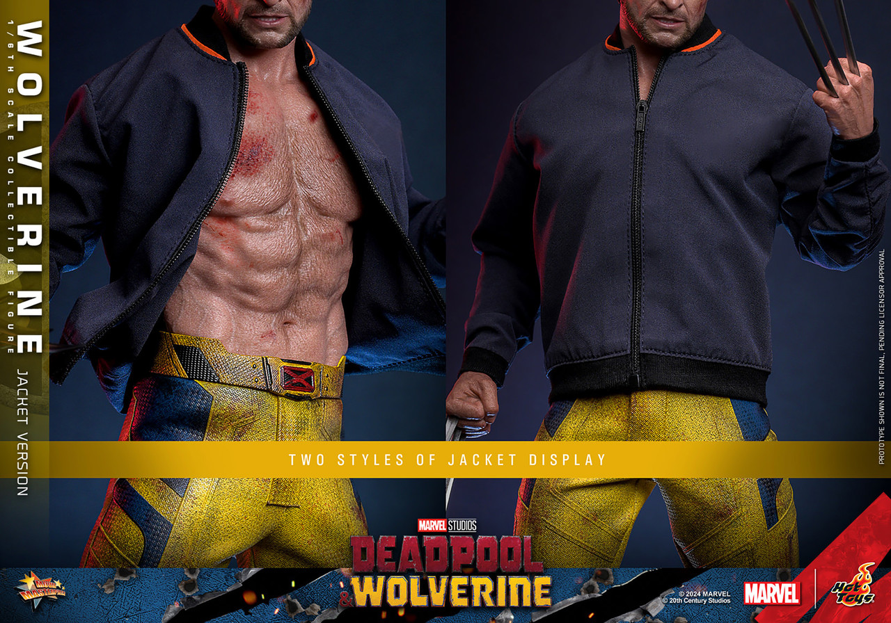 Hot Toys 1/6 MMS756 Wolverine (TVA Jacket Version) Action Figure 6