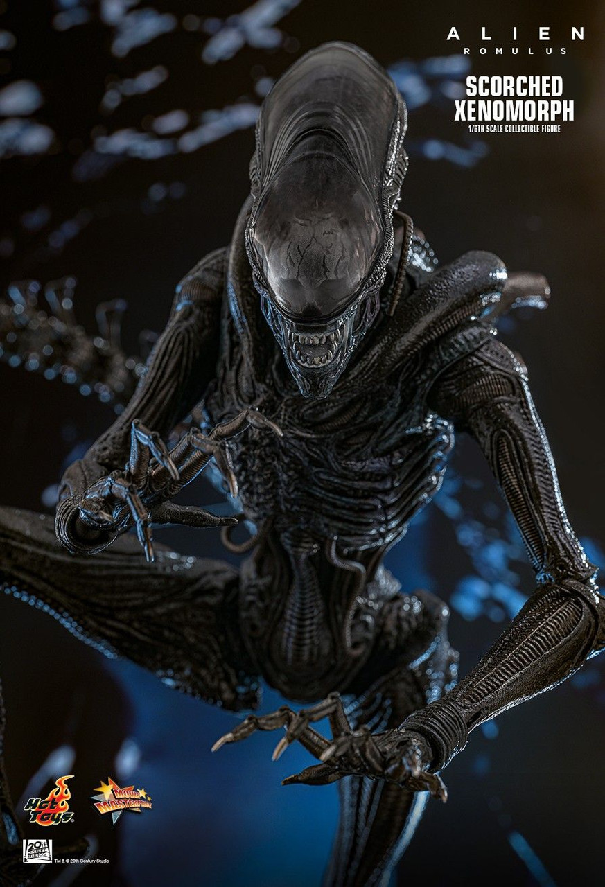 ALIEN: ROMULUS Scorched Xenomorph フィギュア Alien: Romulus Bundle – NECA