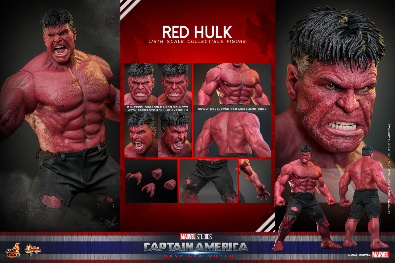 Hot Toys 1/6 