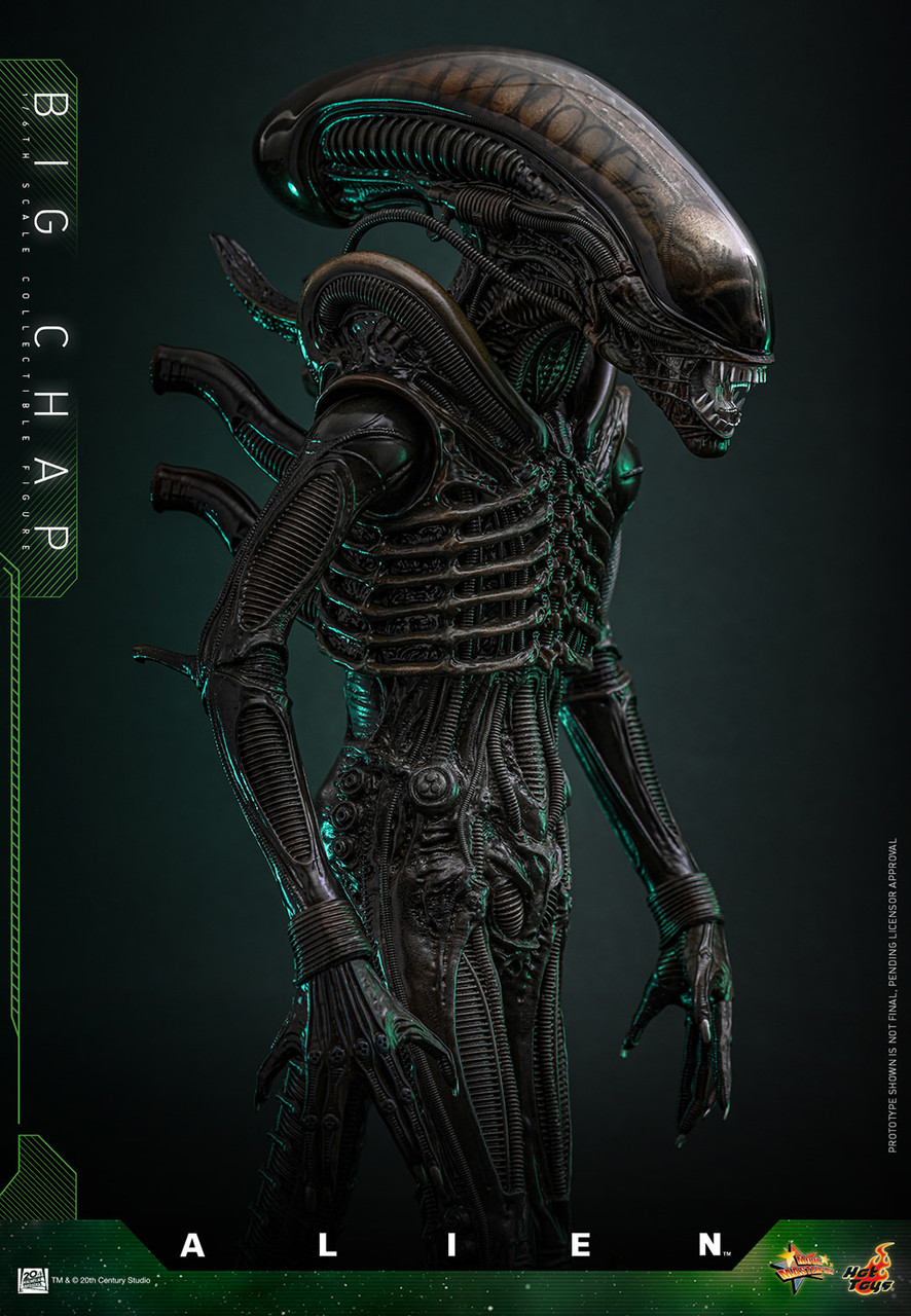 Hot Toys 1/6 Big Chap Alien Figure