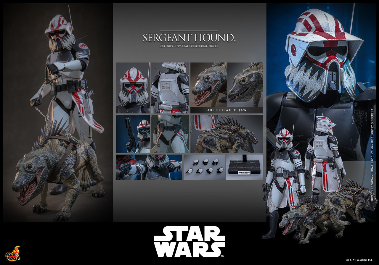 Hot Toys 1/6 Sergeant Hound Figure