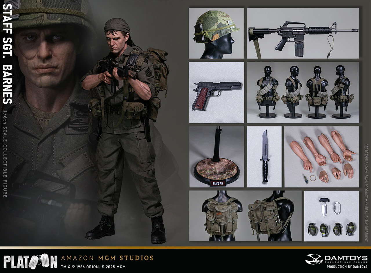Damtoys 1/6 Staff Sergeant Barnes Figure