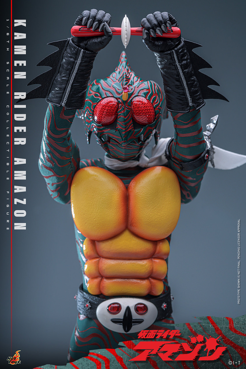 Hot Toys 1/6 TMS184 Kamen Rider Amazon Action Figure 2