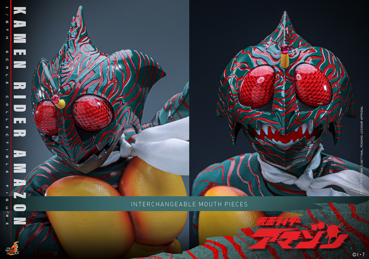 Hot Toys 1/6 Kamen Rider Amazon