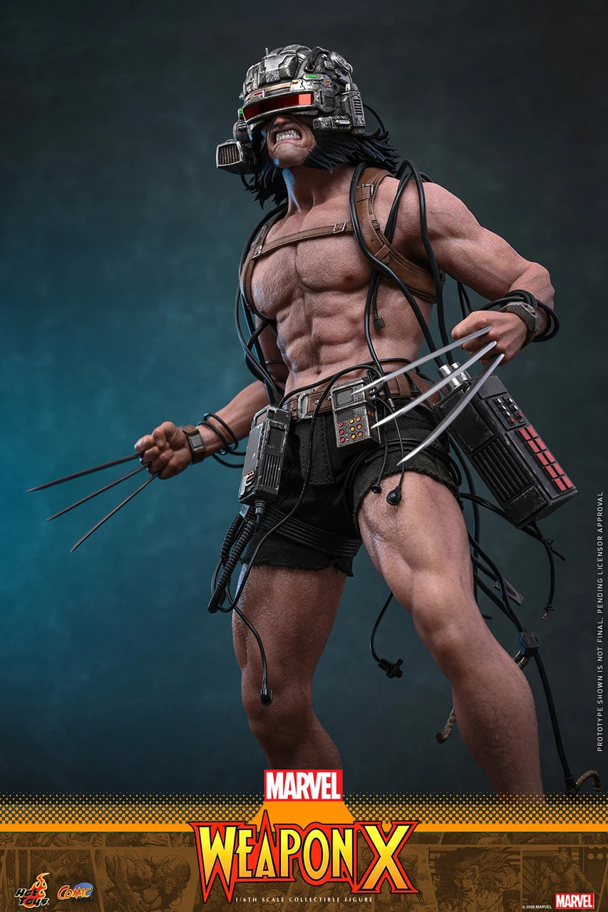 Hot Toys 1/6 CMS034 Weapon X Action Figure 915594 4