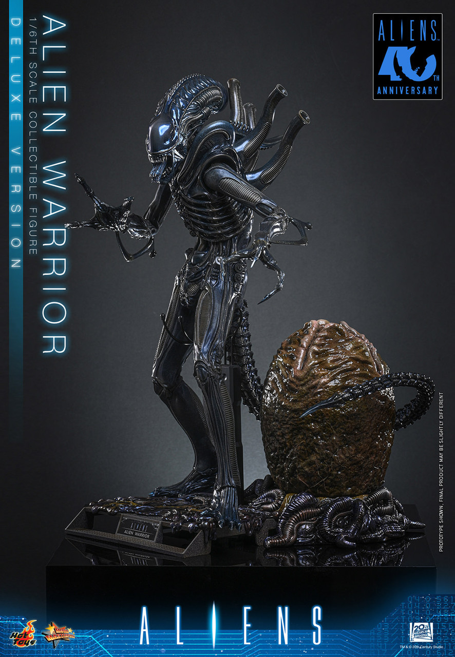 Hot Toys 1/6 MMS899 Alien Warrior Deluxe Figure 9157852 5