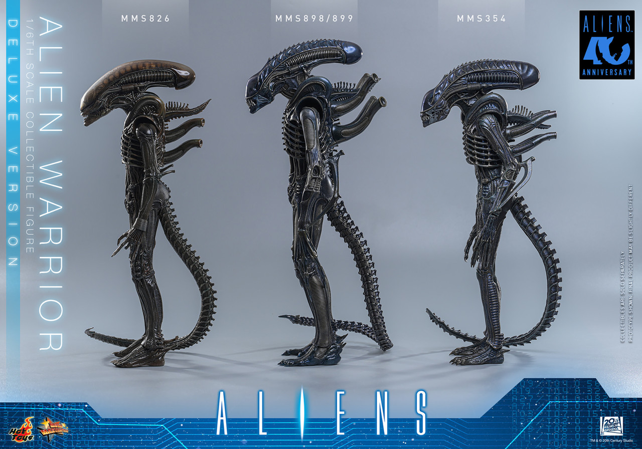 Hot Toys 1/6 MMS899 Alien Warrior Deluxe Figure 9157852 11