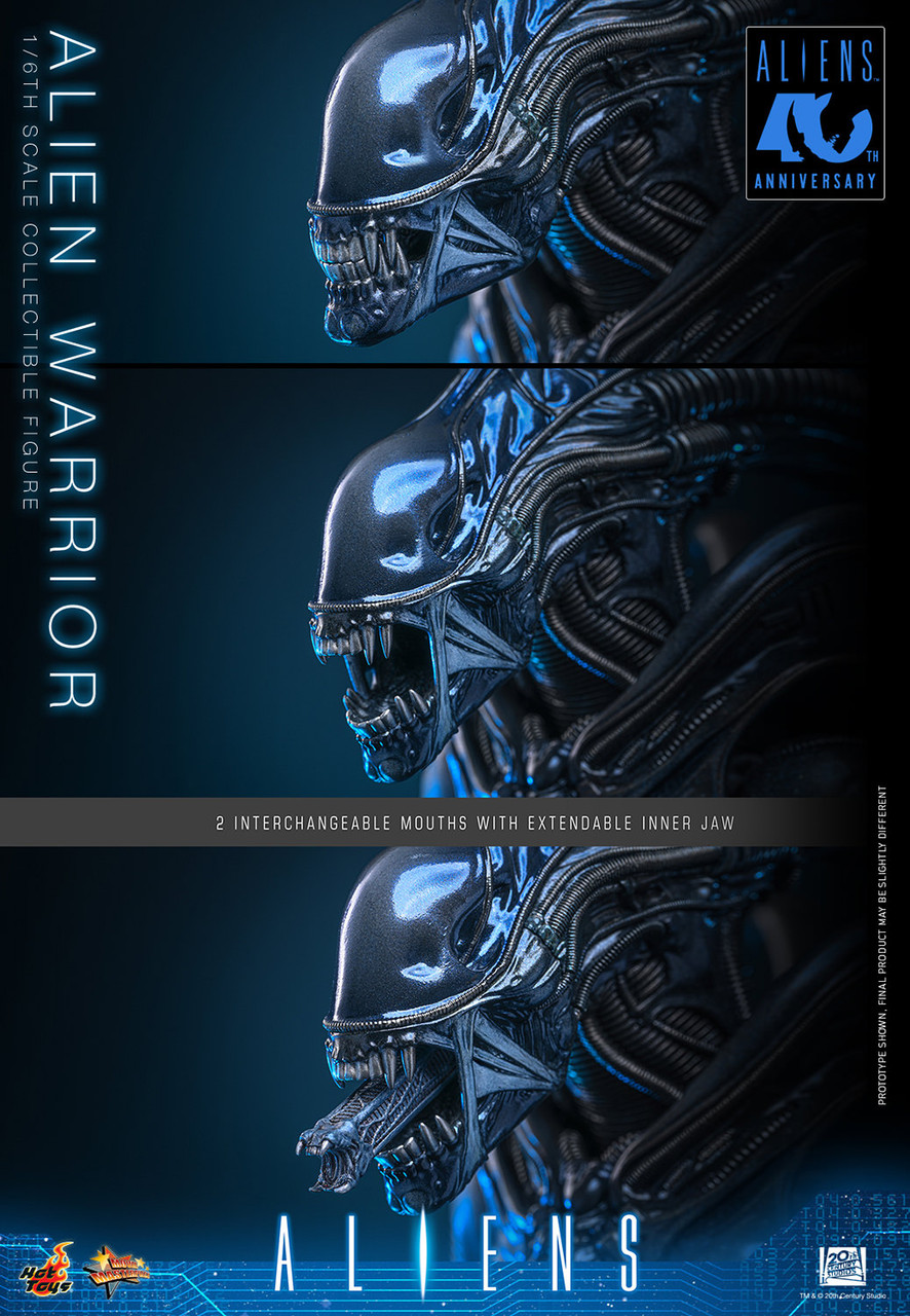 Hot Toys 1/6 MMS899 Alien Warrior Figure 915785 6