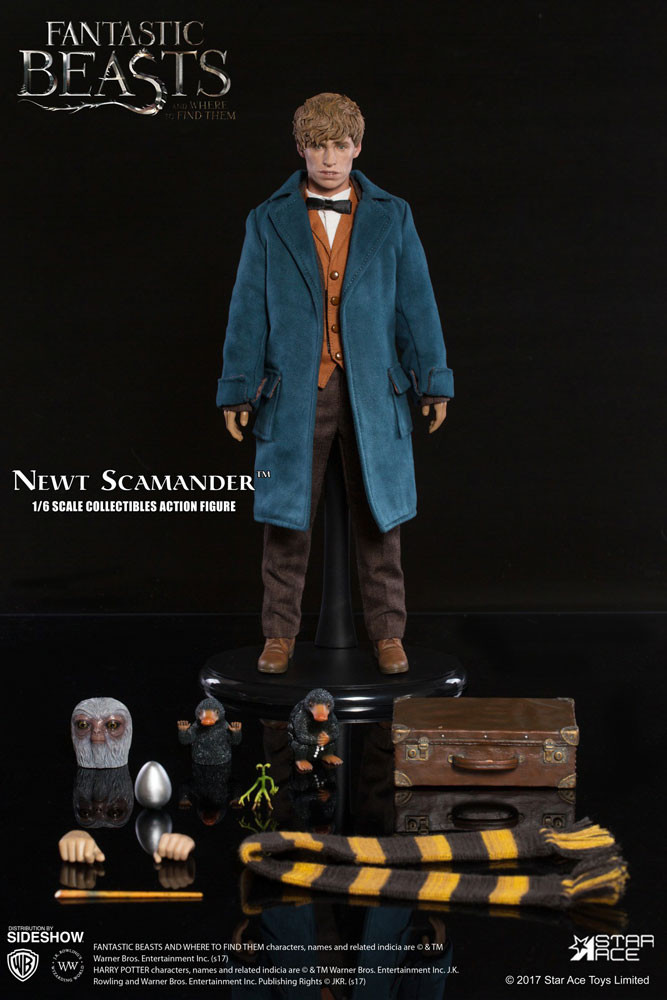 Star Ace 1/6 Newt Scamander Fantastic Beasts