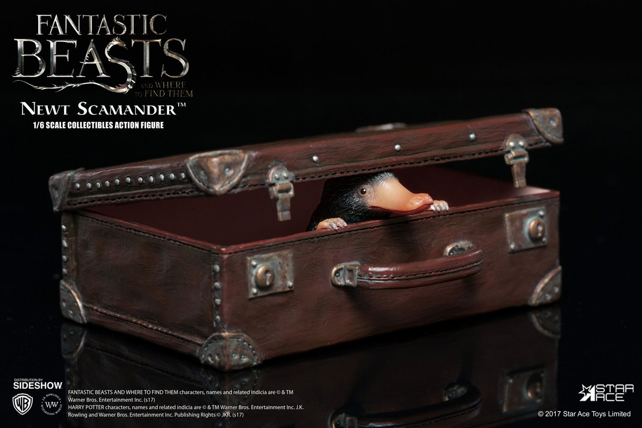 Star Ace 1/6 Newt Scamander Fantastic Beasts