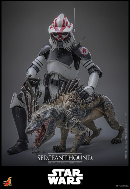 Hot Toys 1/6 TMS167 Sergeant Hound Action Figure 2