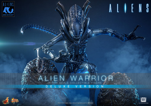 Hot Toys 1/6 MMS899 Alien Warrior Deluxe Figure 9157852 1