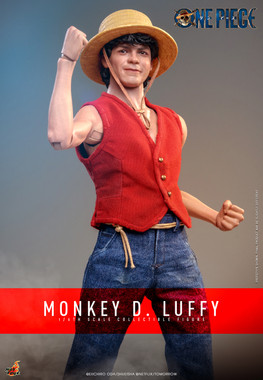 【名入れ無料】 Monkey_D_Luffy_TMS109_1__32896 その他