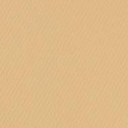 341599, Canson Mi-Teintes, Cream, 19"x25"