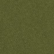 341612, Canson Mi-Teintes, Ivy, 19"x25"