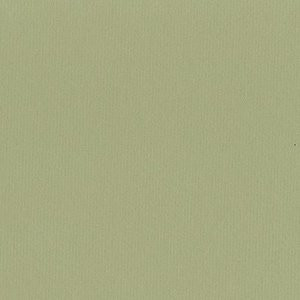 343429, Decorative Matboard, Sour Apple, 20 x 32 in